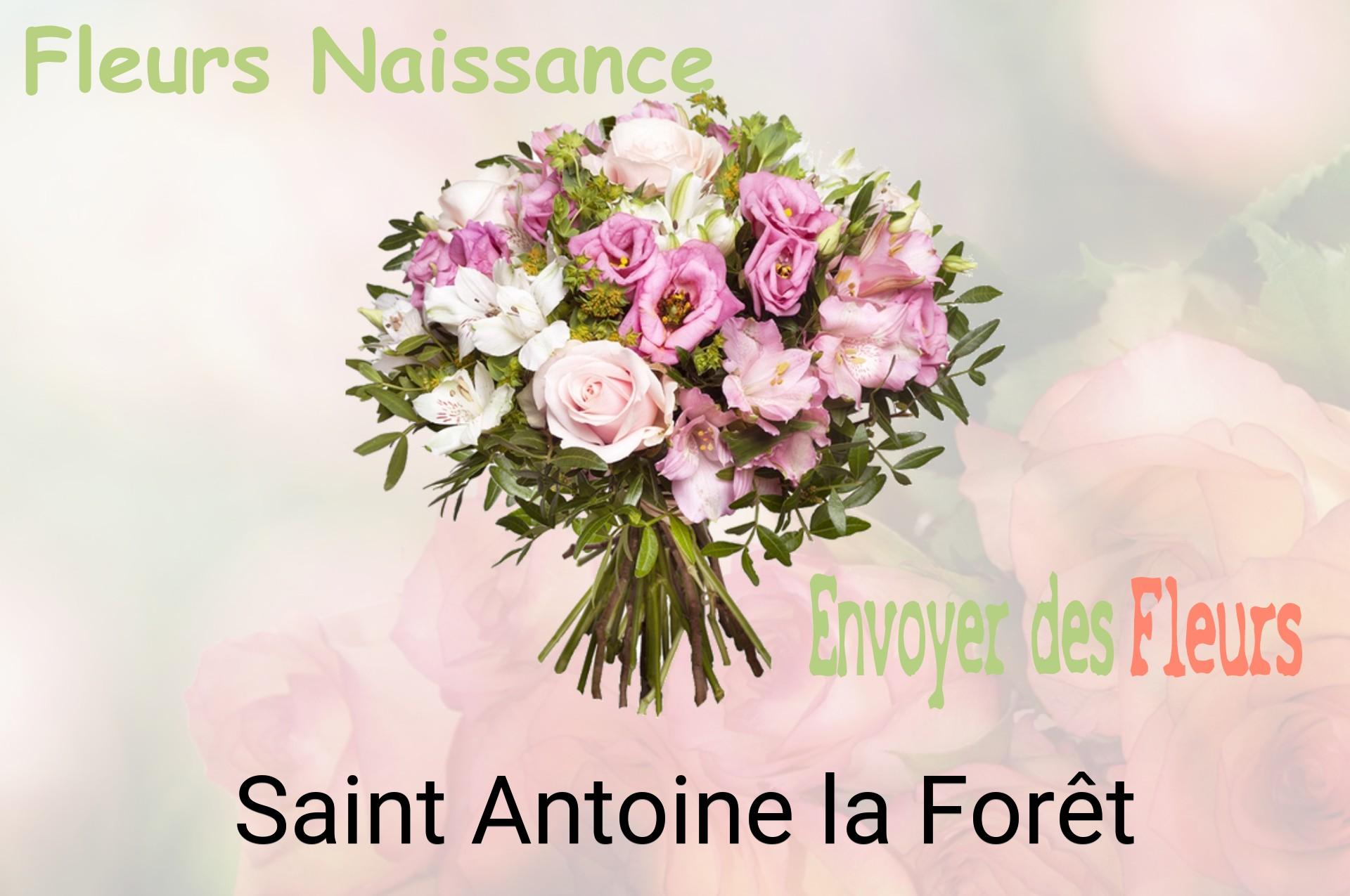 Bouquet de fleurs de naissance livré à Saint-Antoine-la-Forêt